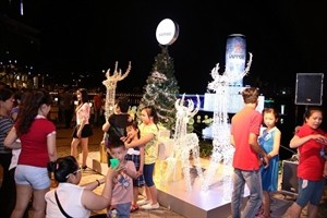 Youngsters and children take photos in the vicinity of the Ban Nguyet (Crescent) Lake in HCM City (Photo: VNA)